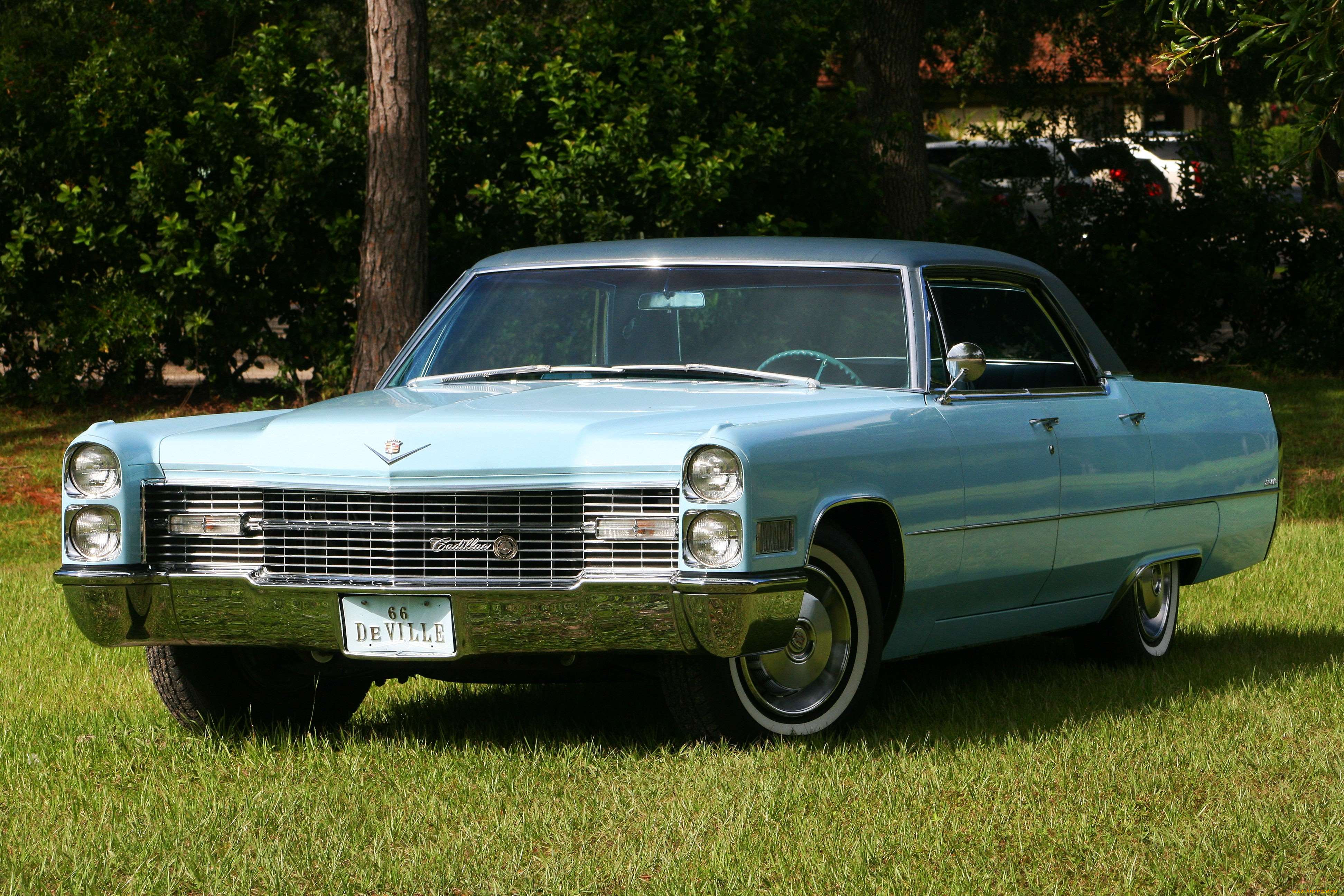 , cadillac, caddy